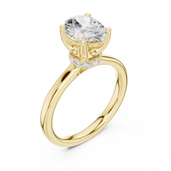 Raised Setting Hidden Halo Ring Raised Setting Hidden Halo Ring