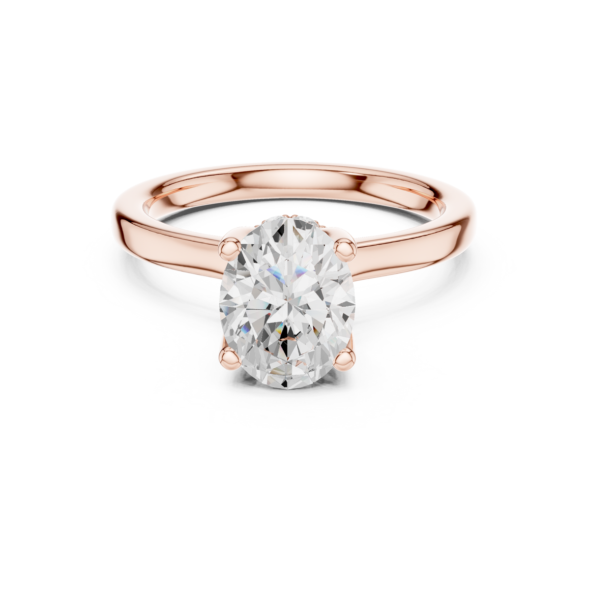 Raised Setting Hidden Halo Ring