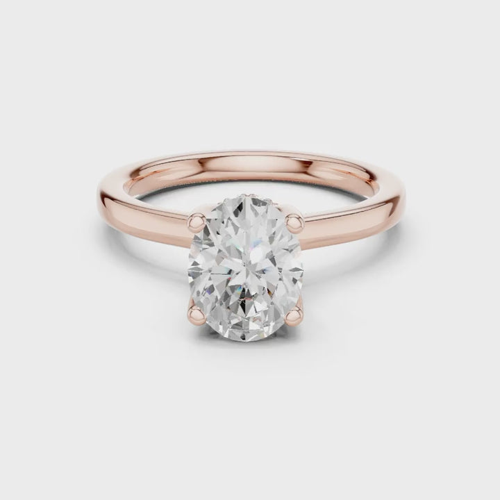 Raised Setting Hidden Halo Ring Raised Setting Hidden Halo Ring