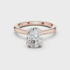Raised Setting Hidden Halo Ring Raised Setting Hidden Halo Ring